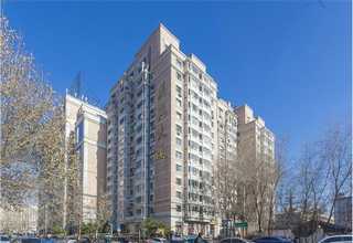 哪些球囊平均价格